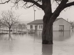 Historische Bilder